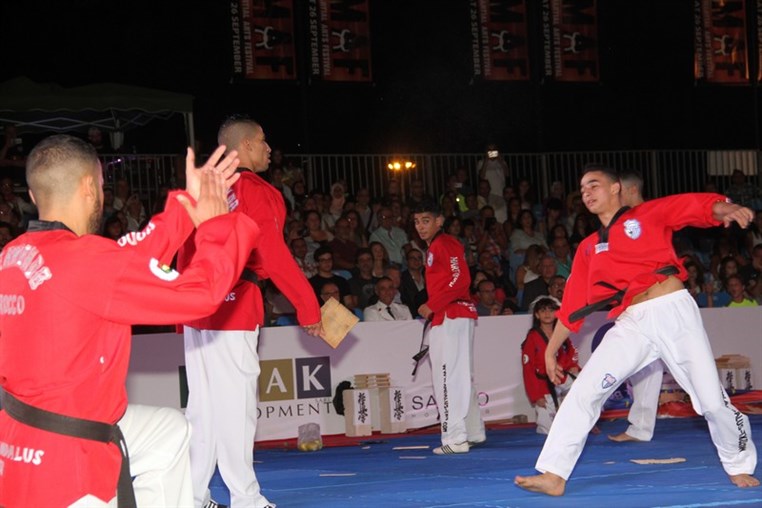 Martial Arts Festival